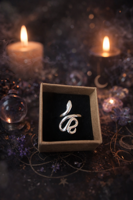 Anillo Serpiente acero